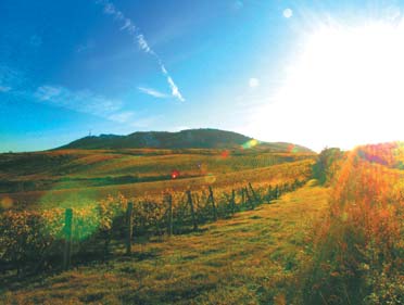 JSME VELCÍ KVALITOU CHÂTEAU VALTICE VÍNO STALETÉ TRADICE A.D. 1640 Už po staletí pracujeme na tom, jak vypěstovat tu nejlepší kvalitu a udělat světové víno.