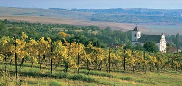 CHATEAU BZENEC je viničním statkem posazeným v překrásné krajině jižní Moravy, v lůně nejlepších vinařských tratí Slovácké vinařské podoblasti.