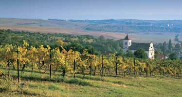 CHATEAU BZENEC je viničním statkem posazeným v překrásné krajině jižní Moravy, v lůně nejlepších vinařských tratí Slovácké