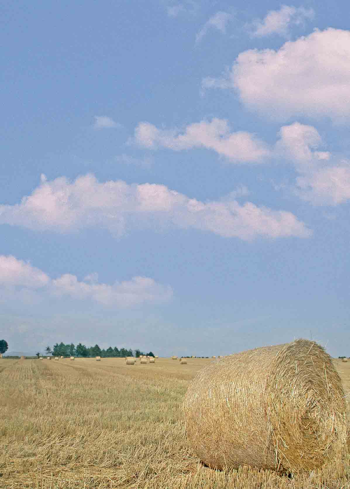 Lisy s pevnou komorou bez řezacího ústrojí Svinovací lisy na balíky Pöttinger bez fiezacího ústrojí jsou vhodn mi stroji pro sklizeà sena a slámy.