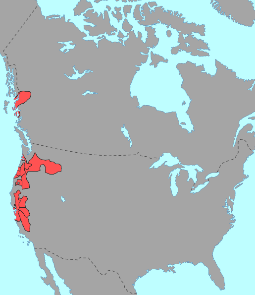 Penutijské jazyky Jazyky světa