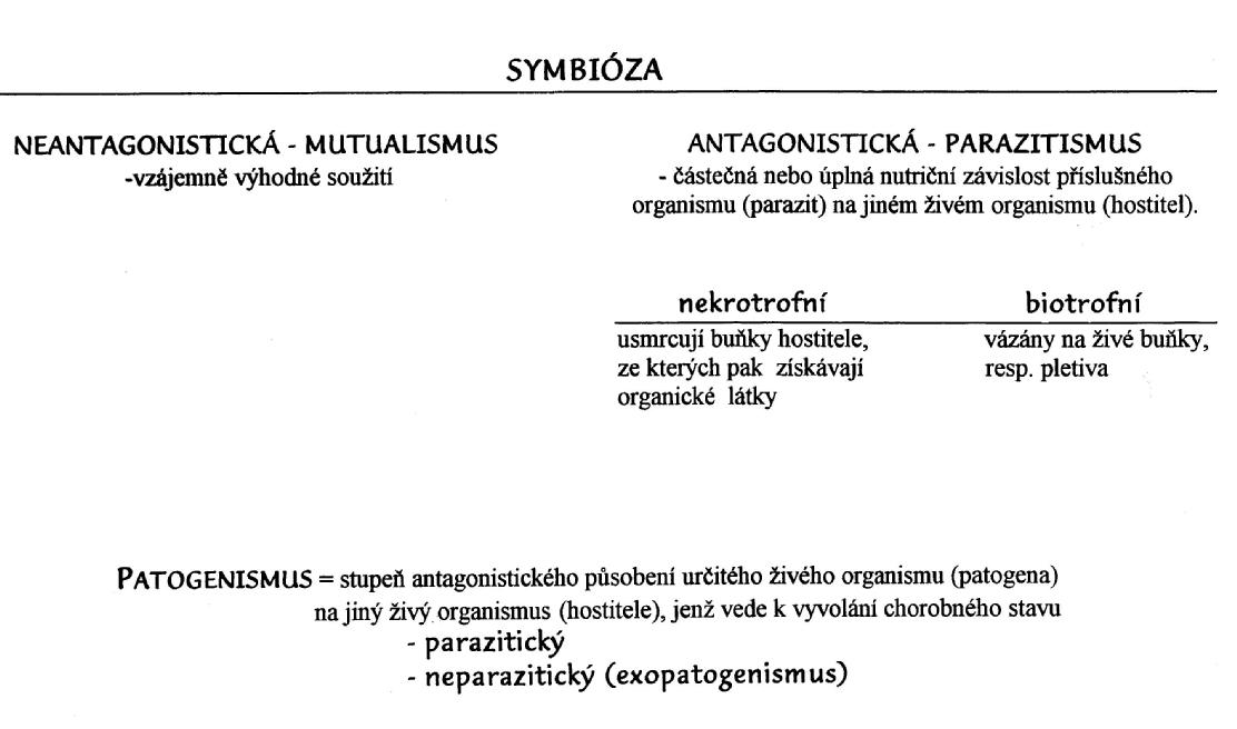 Sylabus 3.