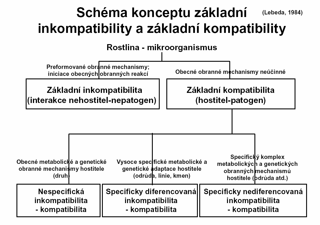Schéma knceptu základní inkmpatibility a základní kmpatibility Rstlina - mikrrganismus Klasifikace vztahů rstlina-patgen Interakce nehstitel-nepatgen mikrrganismus není infekční, rstlina je imunní