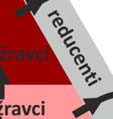 vyskytujícíchv h se živočichů a rostlin) FUNKCE ORGANISMŮ V EKOSYSTÉMU: a) producenti živí se AUTOTROFNĚ, tj.