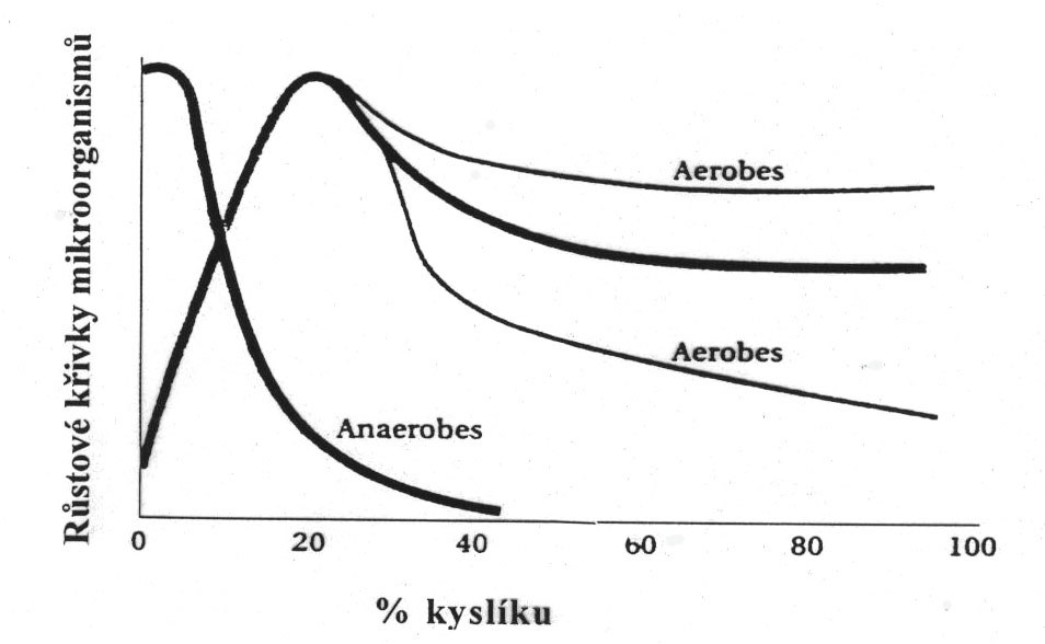 21 Bakterie, které pro svj rst vyžadují pítomnost kyslíku nazýváme obligátními nebo striktními aeroby. Do této skupiny adíme pouze nkteré bakterie, jako jsou nap.