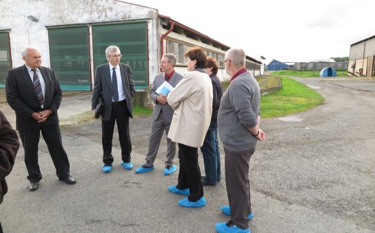 Další program zahrnoval navštěvu účelového hospodářství Netluky, které poskytuje experimentální zázemí pro výzkum výživy, etologie a technologie všech kategorií skotu a prasat.