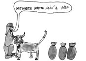 jejich krásou a hudbou, proto je