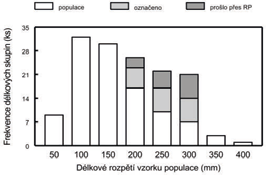 Velikostní selektivita Velikostní selektivita je velmi často uváděným problémem RP. Bývá způsobena především nedostatečnými rozměry trati. Např.