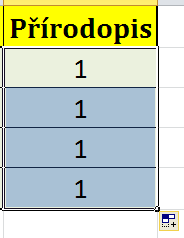 (i s tou tečkou). Pak buňku znovu označme a křížkem v dolním rohu ji rozkopírujme i do dalších řádků.