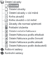 Ekonomický systém POHODA Příručka uživatele 219 Povolíte-li v agendě Globální nastavení práci s cizími měnami, budete mít k dispozici i sestavy pro cizí měny.