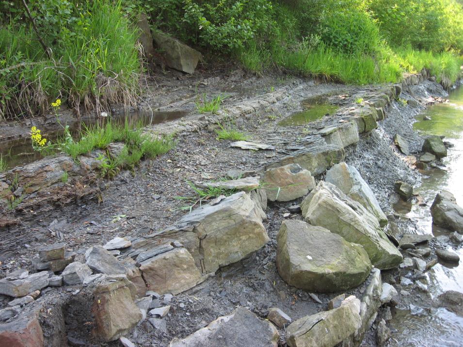 Lískovec řeka Ostravice Nově odkryté vrstvy po povodni v roce 2010 ukazují šedozelené skvrnité jíly, tvrdé šedé prachovité jílovce a slínovce.