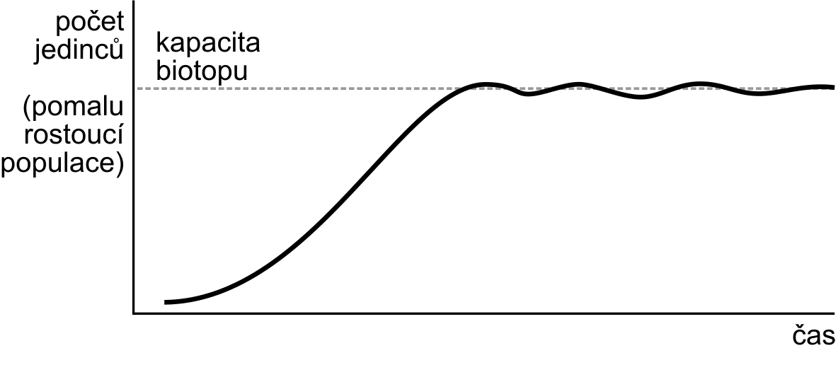 Biotické složky prostředí populace Život každého jedince v populaci ovlivňují ostatní příslušníci téže populace i příslušníci jiných populací (jiných druhů).