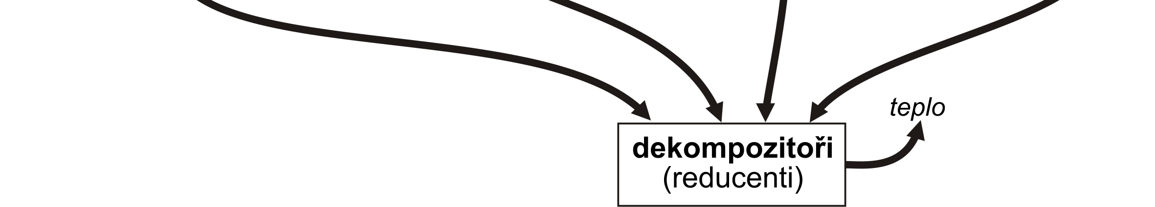 Potravní (neboli trofické) řetězce mohou být velmi komplikované a jeden druh může mít několik postavení (např. všežravci jsou současně primárními i sekundárními konzumenty).