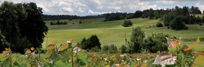 7. ZÁVĚR Biomasa má v dnešní době v České republice nezaměnitelnou roli. Nabízí širokou škálu možností pro všechny skupiny obyvatel.