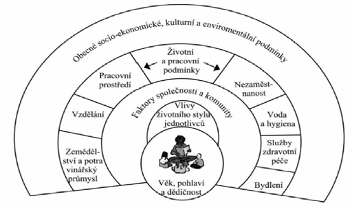 politické determinanty, které zahrnují sociální a ekonomické prostředí a zdravotnický systém (Beaglehole in Detels et al. 2005, s. 85 87).