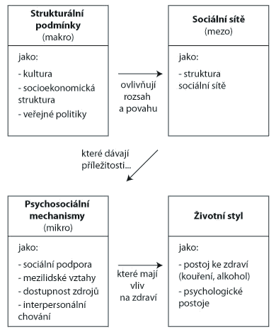 Schéma č. 12: Berkmanův a Glessův konceptuální rámec vlivu sociální sítí na zdraví Zdroj: Dahlgren, Whitehead 2007, s. 81 (upraveno).