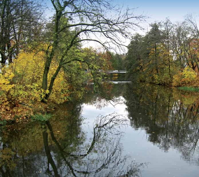 Zpráva o stavu vodního hospodářství České republiky v roce 2012 Chrudimka, Pardubice Typickým zástupcem skupiny syntetických komplexotvorných látek je ethylendiamintetraoctová kyselina EDTA (11,0 %