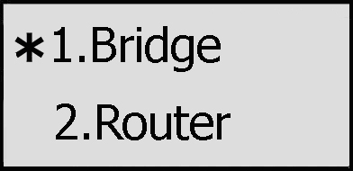 TCP/IP nastavení po připojení automaticky. DHCP server může pracovat pouze v režimu Router.