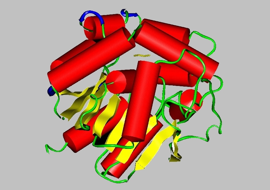 Aplikace 2009 Strukturní biologie MrBayes odhad fylogeneze Queen hodnocenínmr parametrů