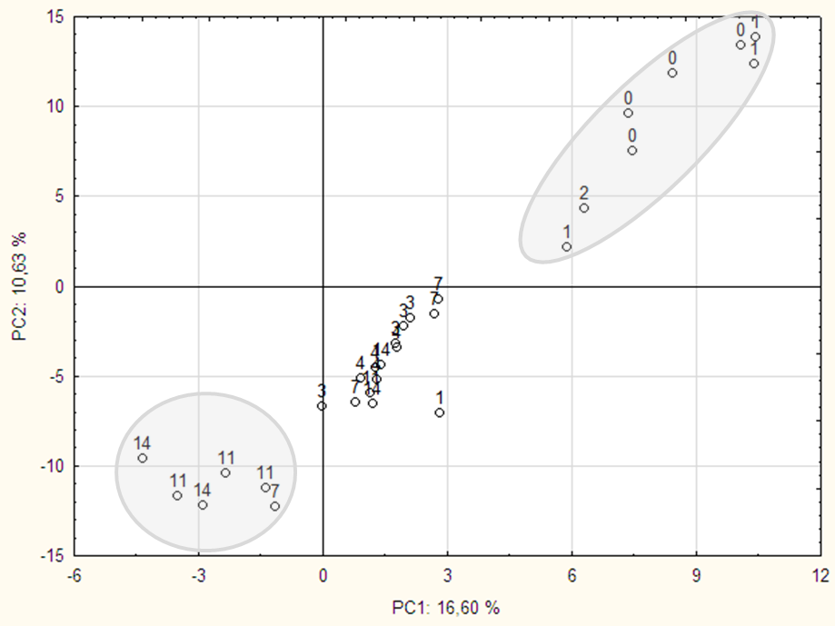 Obr. 5. PCA analýza hmotnostních spekter toluenových extraktů; nahoře vpravo čerstvé maso, dole vlevo staré/zkažené maso; hodnoty bodů udávají dobu skladování (dny) Control. 22, 133 (2011). 4.