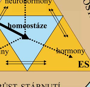 světla a tmy), chemických (toxické látky, průmyslová znečištění), psychosociálních (stres,