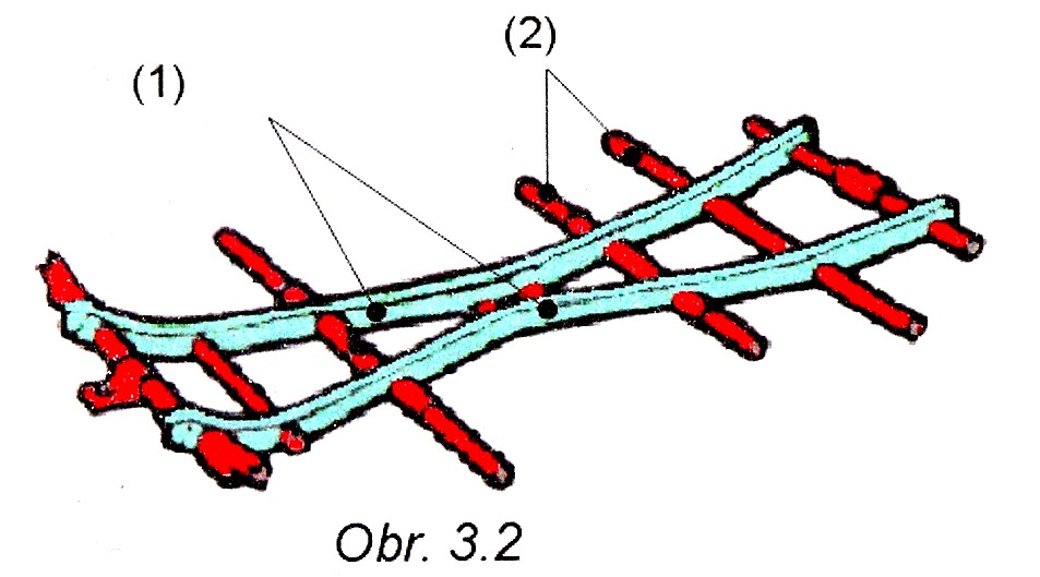 Úkoly: 1.