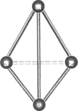 Různé modely Uvedu zde nyní grafické znázornění různých obchodních struktur. 1. Toto je podnik jednotlivce: 2. Toto je sdružení: = =Q 3. Toto je podnik v kvadrantu: cj Čtyřstěn má čtyři vrcholy.