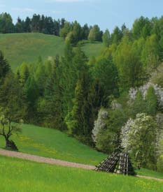 Trávy a květiny 1 Rozdíly luk a pastvin Krajinu Beskyd mimo les vytváří střídající se louky, pastviny, remízky a meze. Dříve zde byly především pastviny, dnes převažují louky.