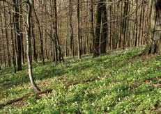Kde má příroda přednost Nejcennější lokality v Beskydech jsou chráněny třemi způsoby: přírodní rezervace (PR) jsou
