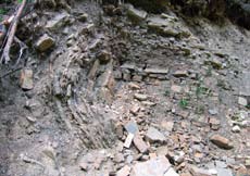 Stačí vědět, že podle toho mají Beskydy dvě části s různě starými horninami, které se liší svou odolností a charakterem provrásnění.