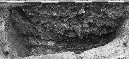 Archeologické rozhledy LXII 2010 329 Obr. 3. Obj. 86/06 řez XY. Fig. 3. Feature no. 86/06 XY section view. silně abradované fragmenty mazanice s otisky vtlačované pěsti.