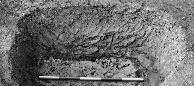 330 THÉR DROBERJAR GREGOR LISÁ KOâÁR KOâÁROVÁ: Vápenické pece Obr. 4. Obj. 86/06 pohled na západní stěnu se stopami po kopání jámy. Fig. 4. Feature 86/06 view of western wall with traces of the digging of the pit.