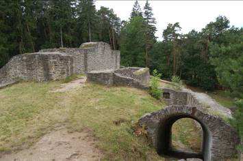 Dějiny archeologického ho