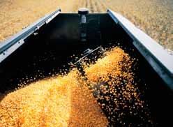 Jednoduše řečeno, společnost New Holland při snaze o zvýšení výkonu řady CR a vaší produktivity nenechala kámen na kameni.