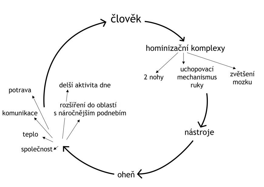 8.2.2. Interaktivní program pro školy Dějiny pravěku I.