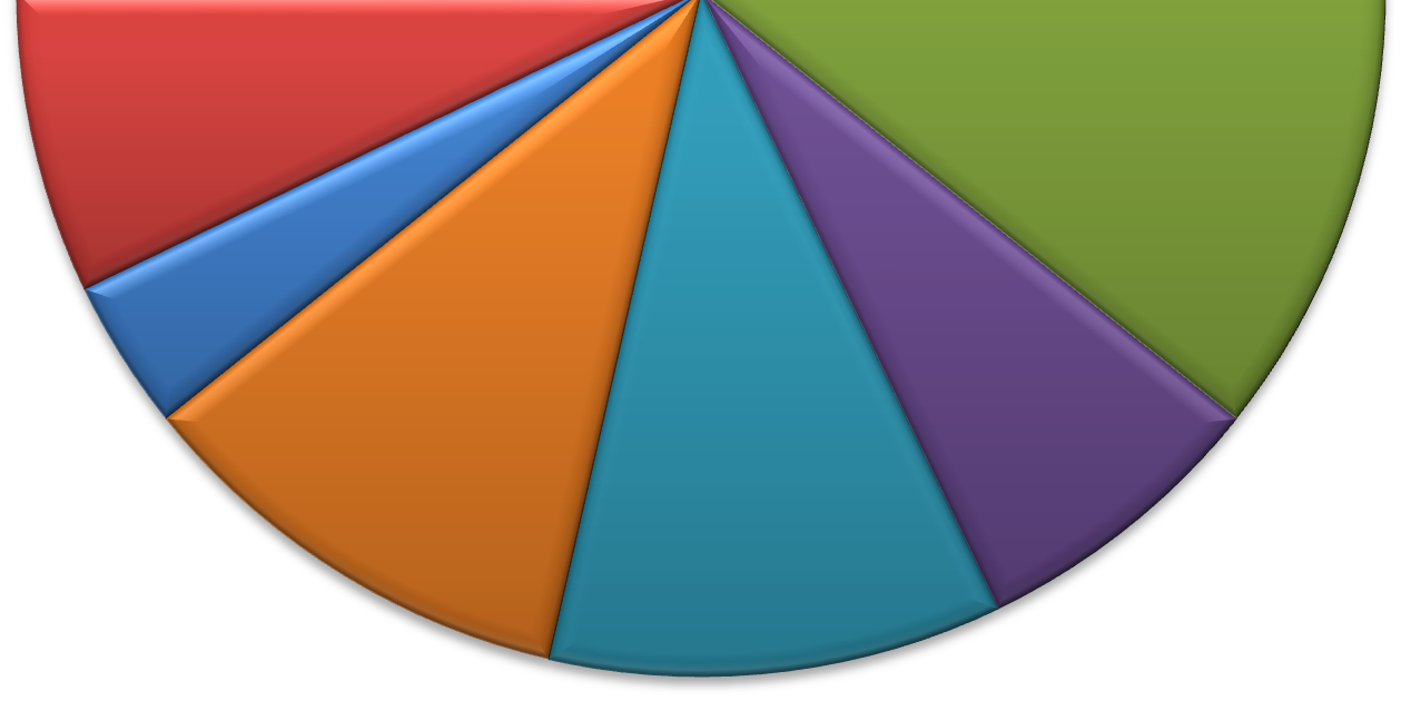 balet 7% flétna 18% rytmické krůčky 3% taneční přípravka 11% plavání 11% fotbal 7% (Zdroj: vlastní výzkum) V Českých