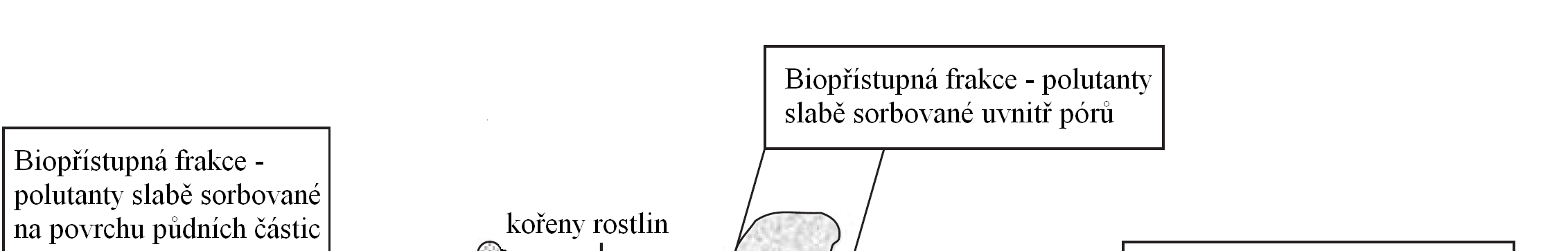 Obr. 1. Schématické znázornění biopřístupné, biodostupné a nedostupné frakce organických polutantů v půdách 1 na místo účinku a začlení se do biologických procesů v buňce.