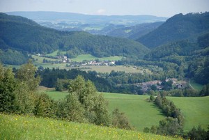 armádě. Čeští zaměstnanci státních institucí (dráhy, pošty) se museli přestěhovat do vnitrozemí a vykonávat práci tam. Po dobu 2. sv.