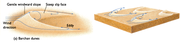 Tělesa vnitrozemské duny Srpovitá duna, barchan Malé duny Návětrná strana proti větru pozvolná, vypouklá, Závětrná prudká,