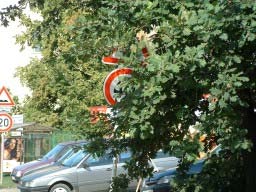 Základní škola Sdružení, Praha 4 svislé dopravní značení - výstražná značka + omezení rychlosti