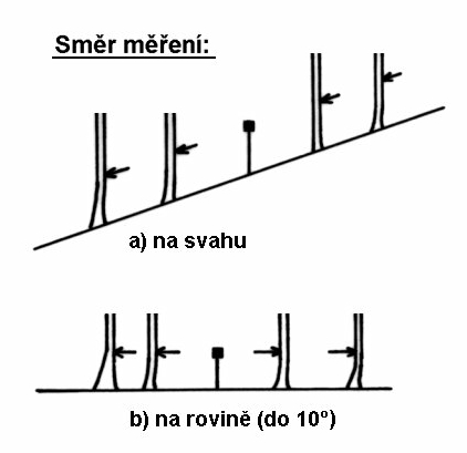 měřitelné i) měření stromu rozdvojeného nad 1,3 m nad zemí a nelze ve výčetní výšce 1,3 m