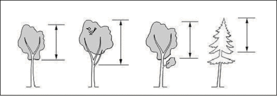 Verze 6.0 Inventarizace lesů, Metodika venkovního sběru dat Obr. 3.3.1a, b: Výška nasazení živé koruny Způsob zjištění: Výška nasazení živé koruny se měří u všech stromů, u kterých se měří výška.