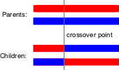 4 KAPITOLA. ÚVOD Celá populace λ jedinc X = µ jedinc Selekce µ jedinc (x, x, x 3,... x n ) (x, x, x 3,... x n ) (x 3, x 3, x 33,... x 3n ). (x λ, x, x 3,... x λn ) (x, x, x 3,.