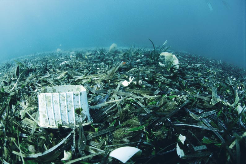 Člověk z moře vzešel, ale tyhle návraty nejsou moc příjemné. (Hurikán Ike, Florida, září 2008) foto globe media / reuters tého, anebo okyselování oceánu nepřežijí?