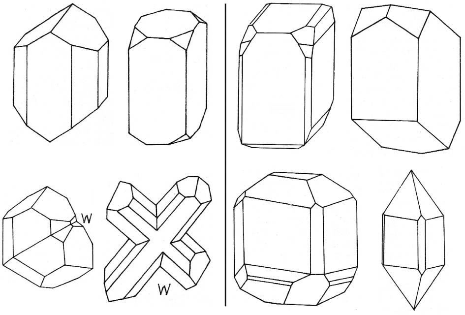 Obr. 4.27. Krystaly pyroxenů (vlevo augit, vpravo diopsid). W označeny dvojčata. Tyto dva systémy štěpných ploch svírají navzájem úhel cca 90. Tvrdost 5,5-6, hustota vyšší (3,1-3,5).
