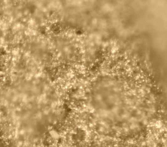 3. Elektronová mikroskopie Dva základní typy mikroskopů, které se v elektronové mikroskopii vyskytují jsou SEM - Scanning Electron Microscopy v češtině znamená Rastrovací (řádkovací) Elektronová