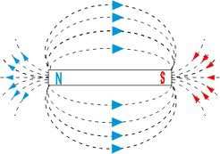 MAGNETICKÉ POLE. MAGNETICKÉ INDUKČNÍ ČÁRY. Pól tyčového magnetu vložíme mezi malé magnetky. A co se stane? Všechny magnetky se stočí stejným koncem magnetky k danému pólu. Proč?