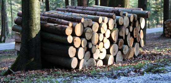 Do doby získání akreditace (předpokládaný termín je konec roku 2010) jsme uzavřeli smlouvu o spolupráci s renomovanou britskou společností Soil Association, pod jejíž akreditací jsme již