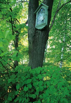 Podstavec nese na přední straně nápis: BOŽE ŽEHNEJ / PRÁCI / DĚLNÍKA PŮDY. Na přední straně soklu je nápis: POSTAVENO / POD DOJMEM UDALOSTI / ZE DNE 7. 3. 1943.