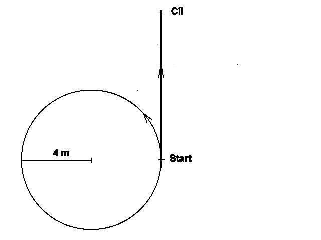 CVIK 2 Chůze u nohy Povel: K noze Provedení cviku: Chůze u nohy je prověřována v běžném tempu v obrazci ve tvaru kruhu a přímky.